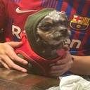 Legal_Thinking_Age-LegalThinkingAge icon