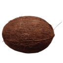 Legit248-CoconutMall icon