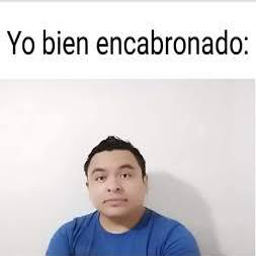 LeoDoge-Andrewtatefans icon