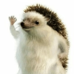 Letale_Raumschiff_Gruppe-Letale_Raumschiff_Gruppe_Modpack icon