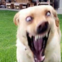 LethalBit-Random_Madness icon