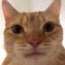 LethalCompany-Modpack_for_the_Boys icon