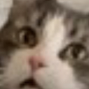 LethalFriends1112-LethalFriends icon