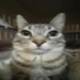 LethalManiacs-ManiacsModPack icon