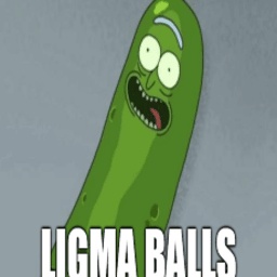 LigmaCompany-Ligma_Company icon