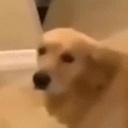 Limbussing-He_who_shall_not_be_named icon