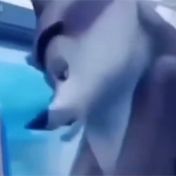 Lino-Agent_Classified icon