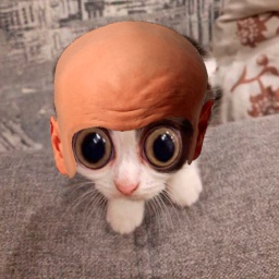 LisadessCompany-forminionsTV icon