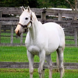 Lithioma-LithMusic icon