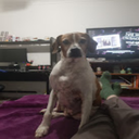 Lithioma-NEW_TV_PACK_PLEASE_WORK_PLEASEE icon