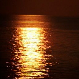 Littlefossie-modpaccers icon