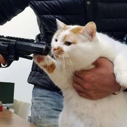 Localia-TeammatesIgnoreBullets icon