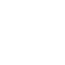 Lodington-Aerolt icon