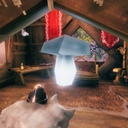 LordJay-Glowing_Mushroom_Remover icon