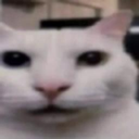 Lucho_Portuano_69-LETAL_CHAMBA_2 icon