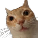 Lucho_Portuano_69-LETHAL_CHAMBA icon