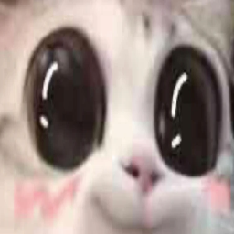 Lucky-Luckys_Suits icon