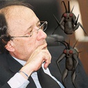 LudafShelby-AlborghettiBug icon