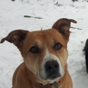 Luminox-Kvamaheimr icon