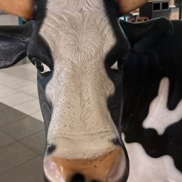 LxnaBee-Test_Mod icon