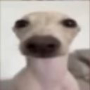 Lyra_the_worst_modder_ever-Rikamod icon