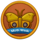 MIIk-MothysMp3s icon