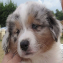 MIYUUUUUUUUUUUUUUUUUUUUUUUUUUUUU-MMMMMMMMMH icon