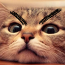 Maestro-Madnoob_Fun_pack icon