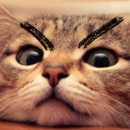 Maestro-Madnoob_Fun_pack icon