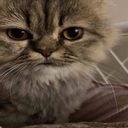 Maglo-Maglos_Modpack icon