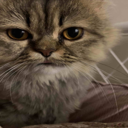 Maglo-Maglos_Modpack icon