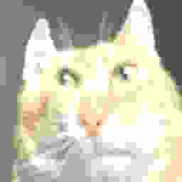 Majus-Majus_Modpack icon