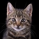 MangoMan-MangoYuh icon