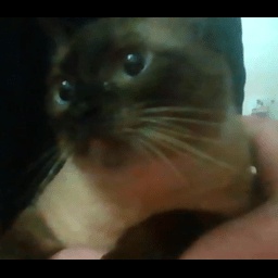 Matheus-Banana_Enlatada_Pack icon