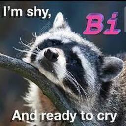 MattPhilLC-WolfGirlsOnly icon