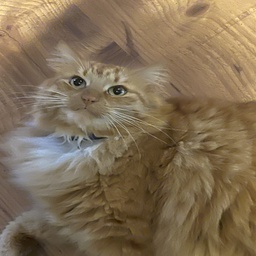 MaxerocksMegaModpack-MaxerocksMegaModpack icon