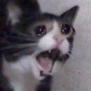 MaxuSTeam-SoundPackCONE icon