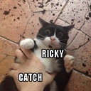 McMittens-RickyCoilHead icon