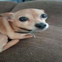 MeandBois-Mentheboismodpack icon