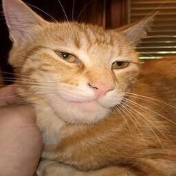 MegaDobryPack-UltraSuprModpack icon