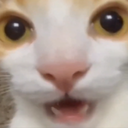 MegaMelodic-Very_Silly_Company icon