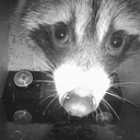 Mellowdy-queerpack icon