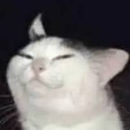 MelonGoonsquad-RoR1BanditPrimary icon