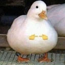 MelonGoonsquad-StupidItemNames icon