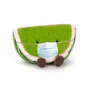 Melons-Les_Zoulettes icon