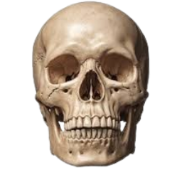 Melz-randumb_png_hitmarkers icon