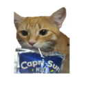 MentallyDeficient-Television_Videos icon