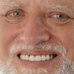 Meow777-AbsolutelyRandomSkins icon