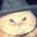 Meppen-Auslaender_Eyeless_Dog icon