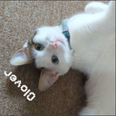 Mi1ky_o7-MommysCosmetics icon